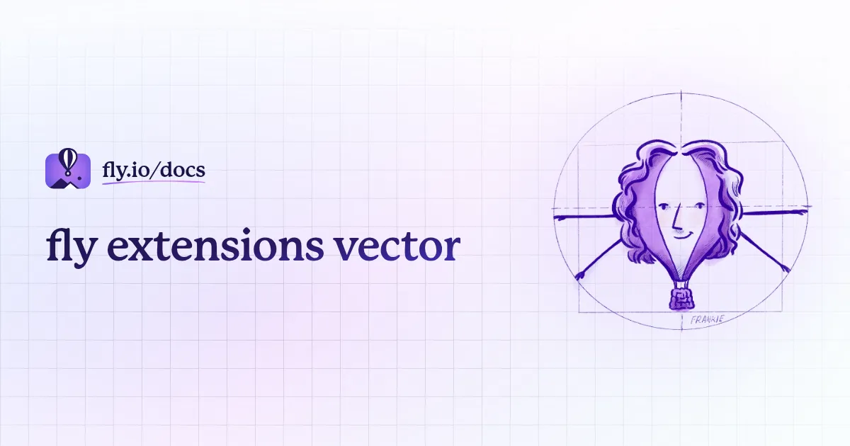 fly extensions vector · Fly Docs